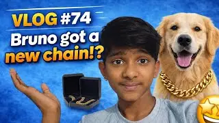 Vlog #74 | Bruno Got a New Chain 🐶✨ | Happy Dog Day