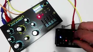 Dreadbox Typhon with Bastl Microgranny 2 - Noise Soundscape, Digital & Analog Cyber Ambient