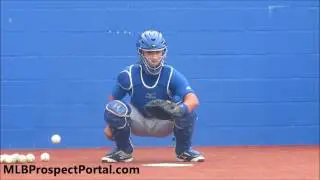 Max Pentecost - Toronto Blue Jays Prospect - C