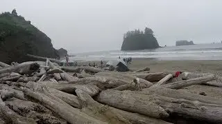 Second Beach, WA walk down to the shore | Binaural Audio