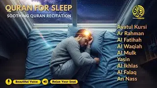 Beautiful Night Quran Recitation For Best Sleep | Al-Fatihah, Ayat Al-kursi, Yasin ,Ar-rahman, Mulk