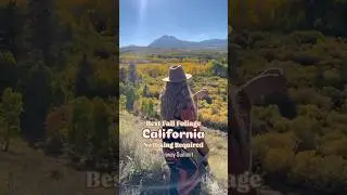 California Fall Color Guide