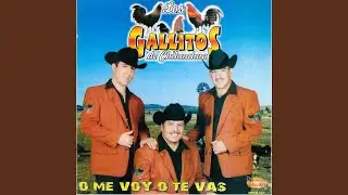 Ocho Dias Tomando