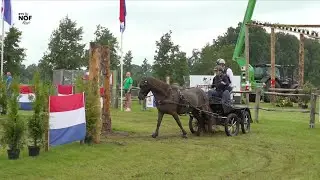 Paardendagen in Driezum-Wâlterswâld: 