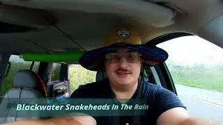 Blackwater Snakeheads In The Rain