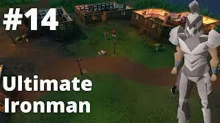 Revisiting the Swamp | UIM #14