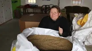 Danske linser