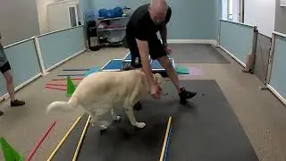 Sept 15   Primo balance and agility
