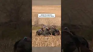 Share With A Buddy Who Would Still Miss 😂 #turkeyhunting #GoHuntingInNorthernOntario #DiscoverON