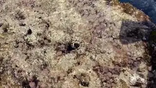 20161009 102104