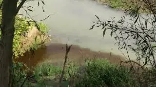 Scarico Tecnoparco fiume Basento, 6 ottobre 23