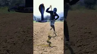 #comedy #shortvideo #snakecomedy #snakechannel #snaketalk