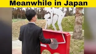 Japan Is Not Like Any Other Country