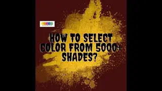 How to order color from 5000+ shades online from Rangwalay.com