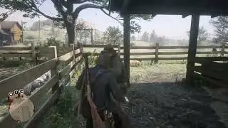 RDR2 - Another Overly Aggressive NPC