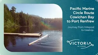 Pacific Marine Circle Route - Cowichan Bay to Port Renfrew | Journey from tidepool to treetop