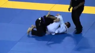 Submission #924 - Purple Flying Triangle