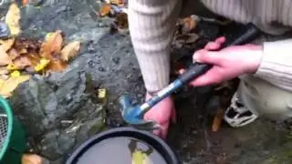 Gold panning in ireland