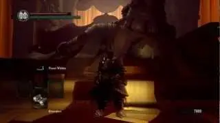 Dark Souls: DWGR Flipping with full Havel's