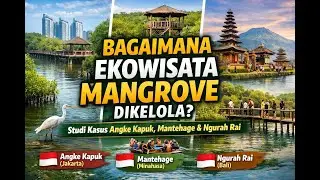 Ekowisata Mangrove Berkelanjutan: Perbandingan Strategi Pengelolaan di Jakarta, Minahasa, dan Bali
