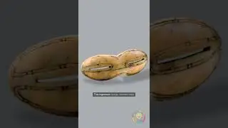 4,000-Year-Old Glasses? Inuit Snow Goggles Explained ❄️👁️ | Hidden History #Shorts
