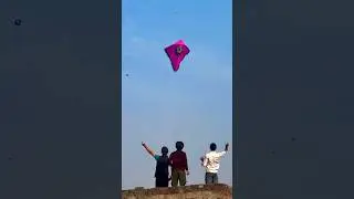 Flying Kites On Basant Panchami 🪁 #viralvideo #kiteflying #kite #viral #viralshorts #shortsfeed