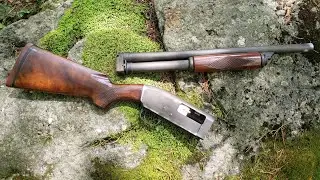 Что я сделал со своим старым дробовиком? Ward's Western Field SB620A