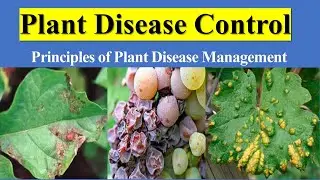 Plant Disease Control | Principles of Plant Disease Management