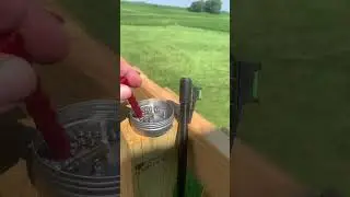 Airgun shooting tip #airgun