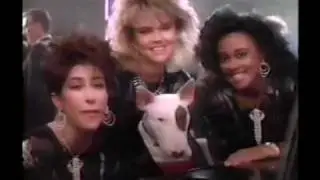 Spuds McKenzie Bud Light Commercial 1988