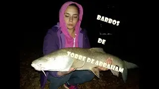 SESION de CARPFISHING BARBOS de TORRE DE ABRAHAM