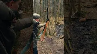 Fred Bear Grizzly recurve bow 🏹🦌 #outdoors #archer #traditionalarchery  #archerylife #beararchery