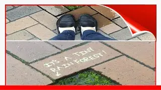 20+ Random Acts Of Genius Vandalism 😃