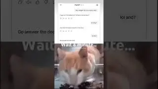 Chat bro is cooked #cat #memes #ishowspeedwannabe #funny #cute #silly