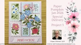 Paper Pumpkin Jan 2026 Project 3 Stampin' Up!