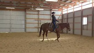 AjPHA Western Horsemanship