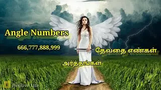தேவதை எண்களின் அர்த்தங்கள்/Angel Numbers Meaning in Tamil/Twin Numbers/Positive Life