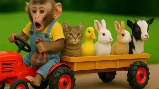 MONO KAKA: La Divertida Aventura de KAKA, el Gato y Sus Adorables Amigos !? | MONO KAKA ESP