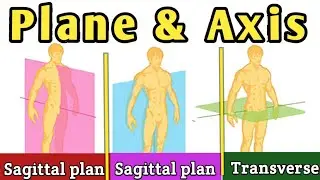 Plane & Axis / Anatomy of plane & axis movements / biomechanics of plane & axis / physical education