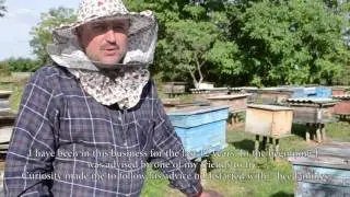 Small Business Development -  Moldova