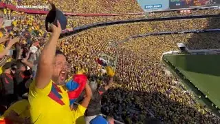 Soccer fans brave heat to watch Brazil vs. Colombia in Copa America at Levi's Stadium