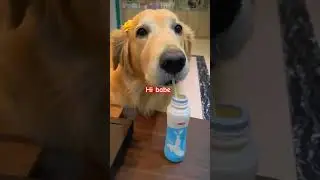 #stayhomewithme