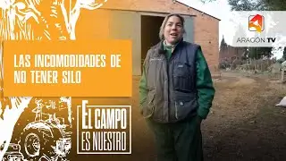 Las incomodidades de no tener silo