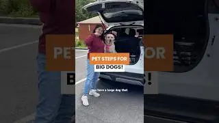 Big Dog Owners, Don&rsquo;t Break Your Back!