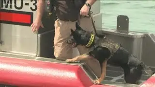 Search and rescue teams train K-9s for water scent detection