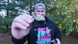 October 2021 6th Sense Super 6 Sack Unboxing!