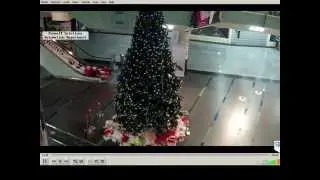 PremaIT Christmas Tree Cam 162