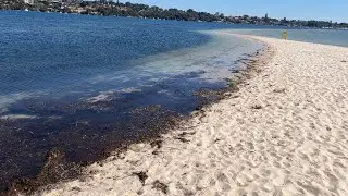 Western Australia: Point Walter