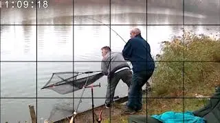 p&ecirc;che a la carpe au m&eacute;thode feeder
