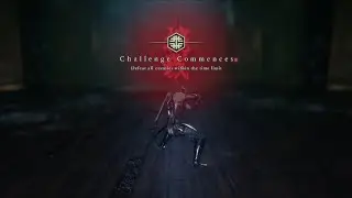 Ninja Gaiden 4 Combat Trial 16 (Defeat all enemies within the time limit)